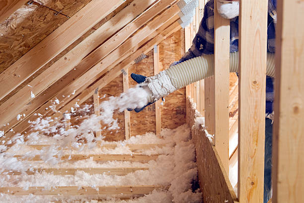 Eco-Friendly or Green Insulation Solutions in Minneapolis, MN